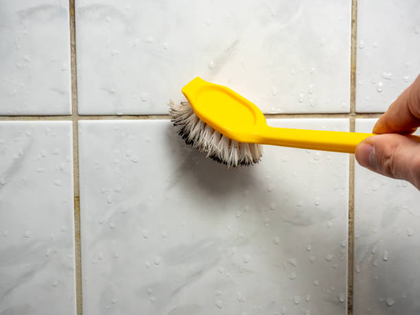 Best Residential Mold Removal  in San Antonio, FL