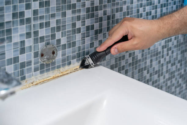 San Antonio, FL Mold Removal Company